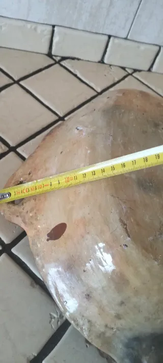 Fuente antigua artesanal