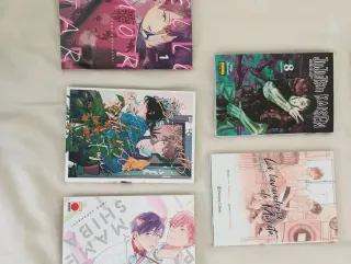 Lote manga variado