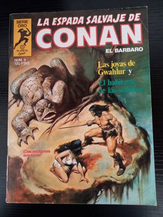 La Espada Salvaje de Conan (lote reservado)