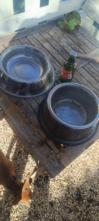 Cama para perro con cojín y dos comederos grandes