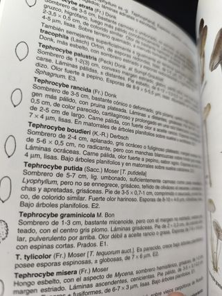 Guía de campo de los hongos de España y de Europa