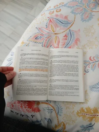 Constitución española y Ley orgánica del Tribun...