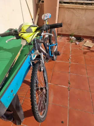 Bicicleta de montaña