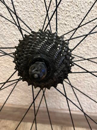 Rueda Gurpil para rodillo