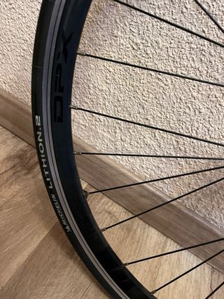 Rueda Gurpil para rodillo