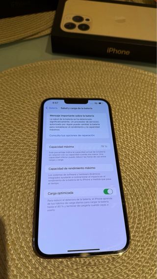 iPhone 13 Pro Max 256GB Oro