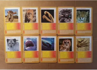 Top Trumps I Predatori - Carte Animali