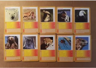 Top Trumps I Predatori - Carte Animali