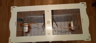 Jaula Vision Transparente y Blanca