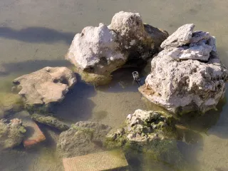 Piedras rocallas decorativas beige y grises