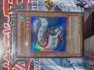 Anguila del Pantano Real CRMS-SPO86