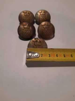 Lotto 5 bottoni antichi in metallo con stemma