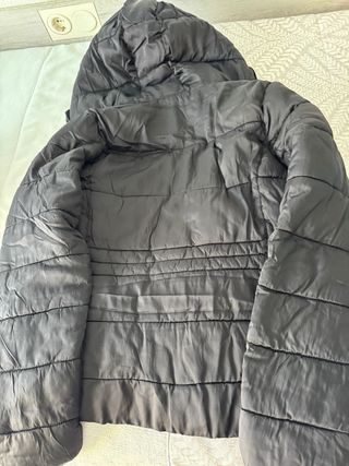 Cazadora acolchada Springfield Talla M