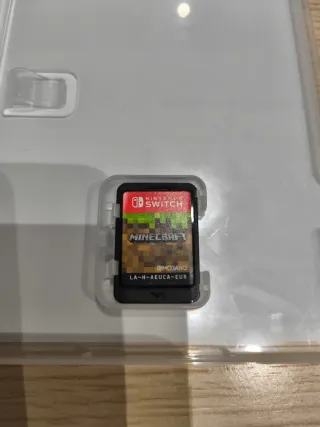 Minecraft Nintendo Switch