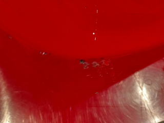 PORTON TRASERO BMW MINI (R50,R53)