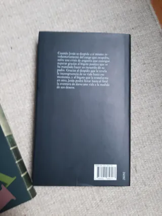 JUAN JOSE MILLAS LOTE 2 LIBROS