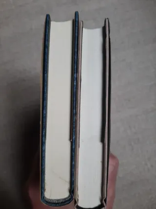 JUAN JOSE MILLAS LOTE 2 LIBROS