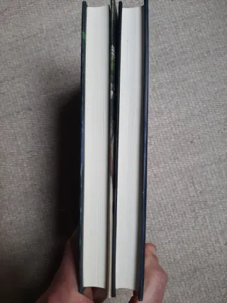 JUAN JOSE MILLAS LOTE 2 LIBROS