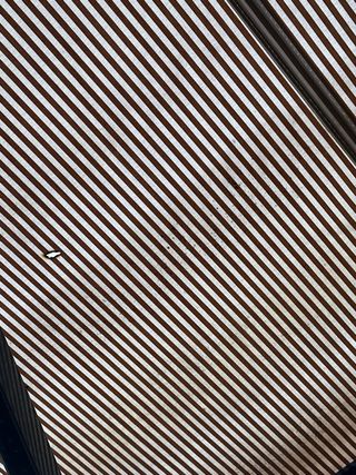 Toldo Gaviota Simbac 3,80m