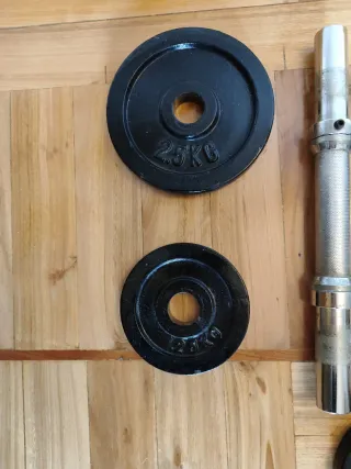 Mancuernas ajustables con discos