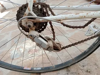 Bicicleta Orbea Zafiro