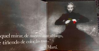 Vinilo Nacha Guevara Amor de ciudad grande