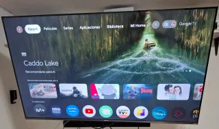 Televisor Xiaomi 55  Negro
