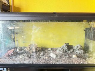 Acuario con mueble negro