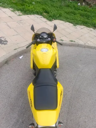 Honda CBR 600 RR Amarilla