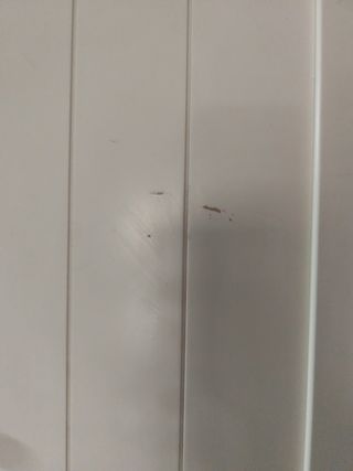 Escritorio bureau blanco y madera