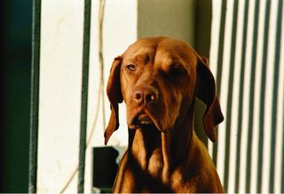 Objetivo Pentax-A Zoom 70-210mm f/4