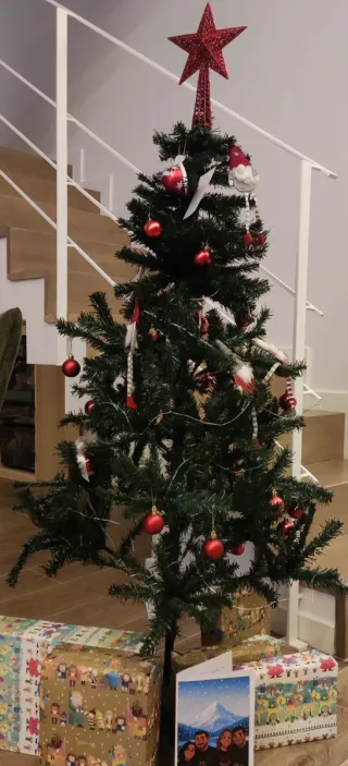 Árbol de Navidad 160 cm