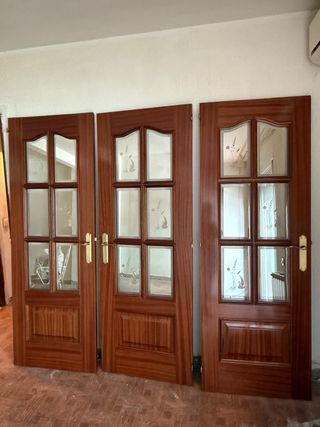 Puertas interiores de Sapelly