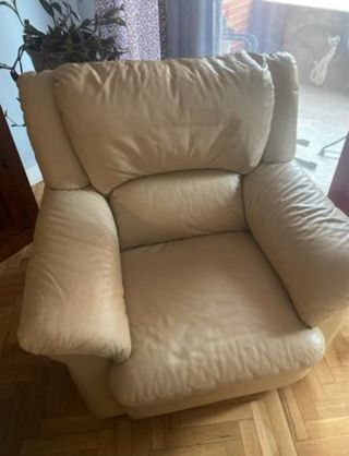 Conjunto sofá 3 plazas y sillón (ambos de piel)