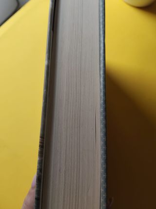 El batec del mar: El jove Roger de Flor