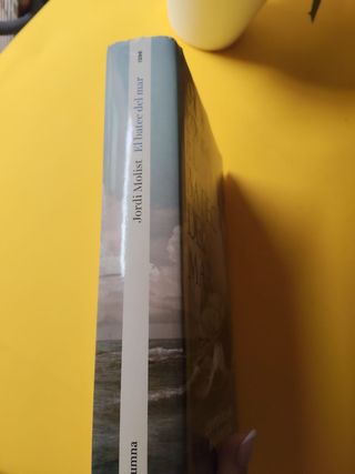 El batec del mar: El jove Roger de Flor