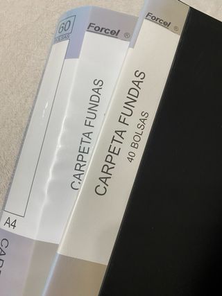 Lote 8 Carpetas Fundas y Clasificadoras