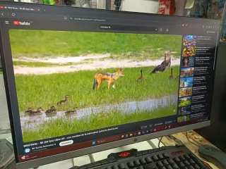 PC Gaming Negro y Rojo