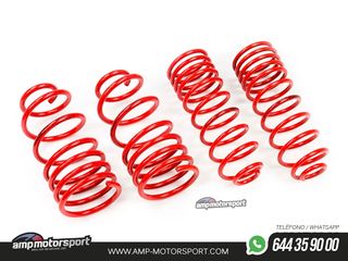 MUELLES DEPORTIVOS MTS TECHNIK MTSXAU151