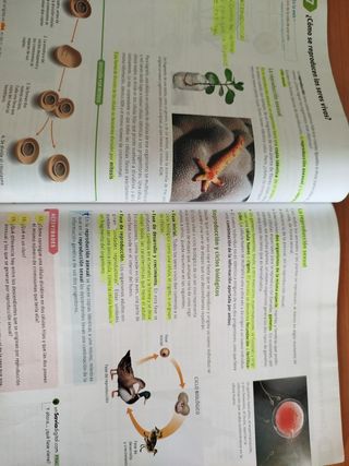 Biología y geología, Arce. 1 ESO. Savia