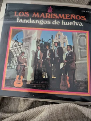 Lote discos vinilos colección
