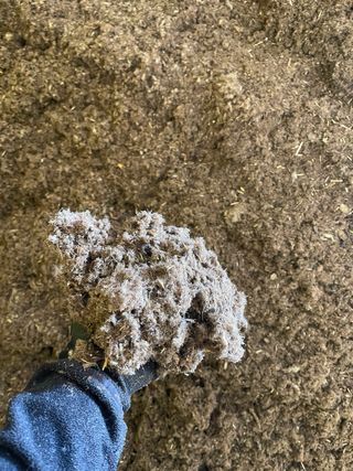 Abono Orgánico Lana de Oveja