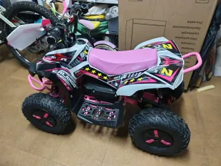 Quad eléctrico 1000W 36V