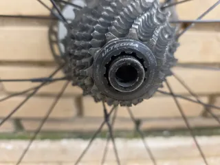 Ruedas carbono DT Swiss para disco