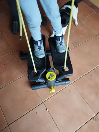 Stepper con bandas elásticas está en buen estado