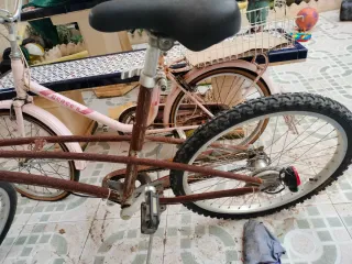 Lote 3 Bicicletas