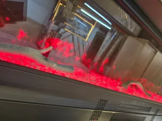 Chimenea eléctrica Prestige Line