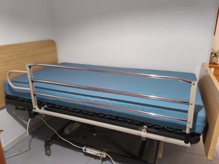 Cama articulada eléctrica con carro elevador