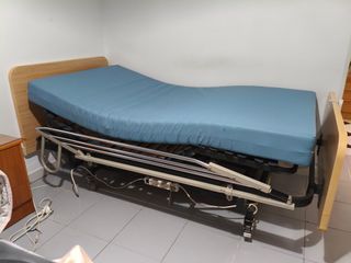 Cama articulada eléctrica con carro elevador