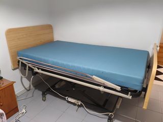 Cama articulada eléctrica con carro elevador